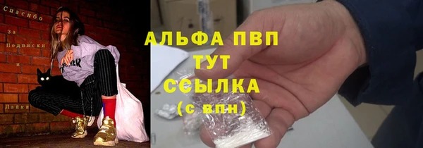 спайс Ельня