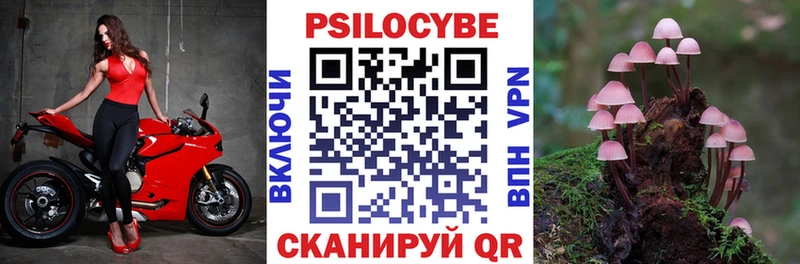 где найти наркотики  Октябрьский  Галлюциногенные грибы Magic Shrooms 